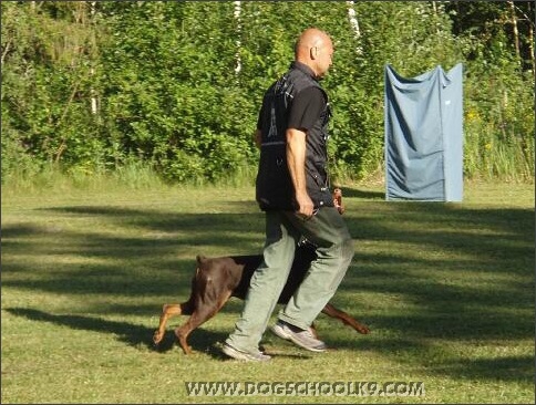 Summer training camp in Estonia 2007